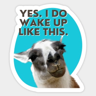 Yes. I do wake up like this. Sticker